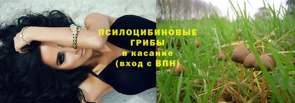 гашик Нефтекумск