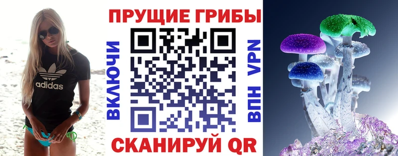Галлюциногенные грибы MAGIC MUSHROOMS Княгинино